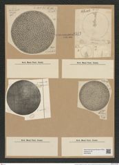 Coscinodiscus radiatus Ehr. (de-Toni-Nr.: Genus 202, Species 4972) Zeichnungen Sammlung Grunow Nr. 8577 (NHMW-BOT-W0378225)